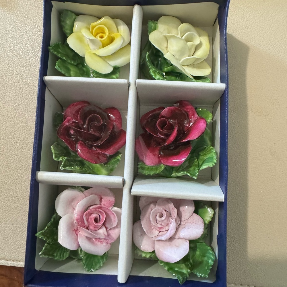 Vtg Set of 6 Randor Bone China Handmade Place Setting Roses in Original Box